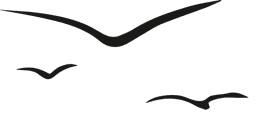 Vinařství Celnar logo
