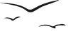 Vinařství Celnar logo