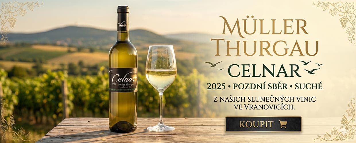 Müller Thurgau 2025 pozdní sběr suché
